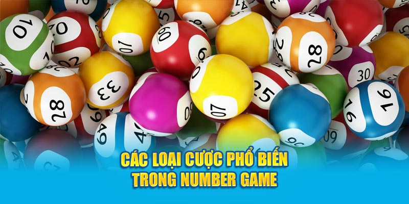 Number Game Trực Tuyến Hướng Dẫn Cược Trong Trò Chơi 4 cac-loai-cuoc-pho-bien-trong-number-game