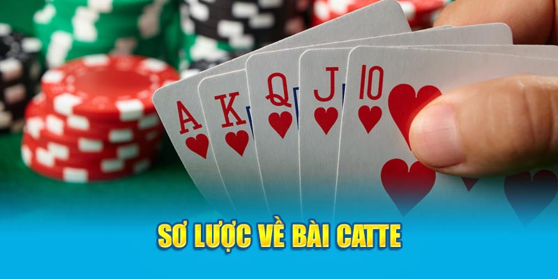 Luật Đánh Bài Catte - Những Điều Tân Thủ Cần Biết Khi Chơi 2 so-luoc-ve-bai-catte